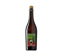 Sant'Agata Lambrusco di Sorbara DOC secco frizzante Biologico 2023 - Paltrinieri