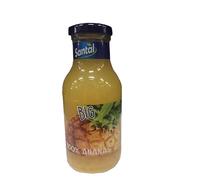 SANTAL SUCCHI ANANAS PLUS 100 24 X 250 ML