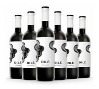 Santero Dile' Vino Rosso Syrah Cabernet 75 cl 6 Bottiglie
