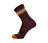 Calze Santini Bengal bordeaux - M-L