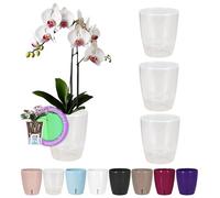 Santino Set-Di-4 Vasi Per Orchidee D 15 cm Vaso Autoinnaffiante Con Sistema Stoppino Indicatore Del Livello Dell'acqua Per Interni (Ø 15cm - 2L - Trasparente)