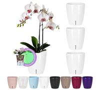 Santino Set-Di-4 Vasi Per Orchidee D 15 cm Vaso Autoinnaffiante Con Sistema Stoppino Indicatore Del Livello Dell'acqua Per Interni (Ø 15cm - 2L - Bianco)