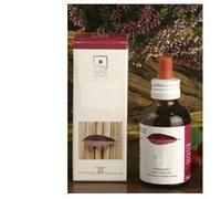 Santiveri ACER CAMPESTRIS 50ML STV