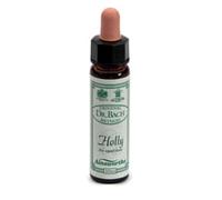 Santiveri AINSWORTHS HOLLY 10ML