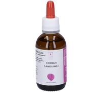 Santiveri Cornus Sanguinea Estratto Gliceroalcolico Gocce 50 ml Gocce