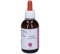 Santiveri Fagus Sylvatica Estratto Gliceroalcolico Gocce 50 ml Gocce o