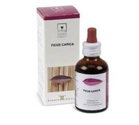 Santiveri FICUS CARICA 50ML STV