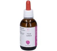 Santiveri FICUS CARICA 50ML STV
