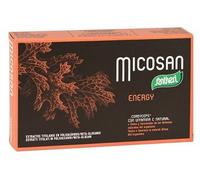 Santiveri – Integratore Alimentare Micosan Energy – Cordyceps e Vitamina C – 40 compresse