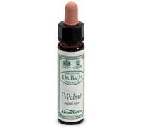 santiveri sa Ainsworths walnut 10ml