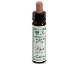 santiveri sa Ainsworths walnut 10ml