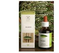 Santiveri SALVIA BIO 50ML STV