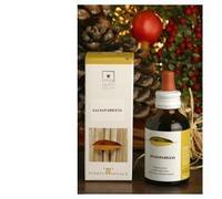 Spaccapietra 50 ml Stv