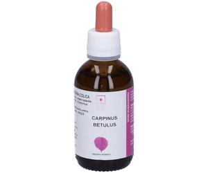 SantiveriCarpinus Betulus Estratto Gliceroalcolico Gocce 50 ml Gocce o