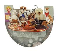 Santoro Popnrock 3D biglietto di auguri - Best In Show