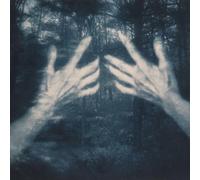 All The Birds And A Telephone Ringing