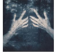 Santos Silva Susana All the Birds and a Telephone Ringing (Vinyl LP) 12" Album