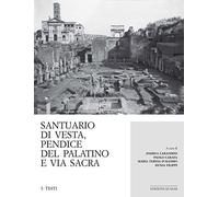 Santuario di Vesta, pendice del Palatino e Via Sacra Scavi 1985-2016 - [Quasar]