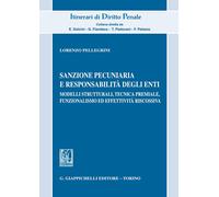 Sanzione pecuniaria e responsabilità degli enti. Modelli strutturali, tecn...