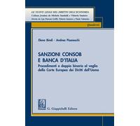 Sanzioni Consob e Banca d’Italia. Procedimenti e doppio binario a