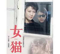 Saotome Ai - Meneko [Edizione: Giappone]