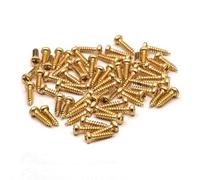 SAPHUE 50 viti per accordatura per chitarra elettrica acustica, viti per accordatura, viti di montaggio per chitarra elettrica/acustica e basso (oro, 2 x 11 mm)