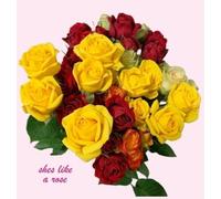 Sapienti Tree Publishing Photography She's Like A Rose (Copertina rigida)