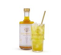 Sapinca - Concentrato di radici biologiche "Elisir Premiato" - Bevanda senza alcol senza zucchero - 1 x 495ml