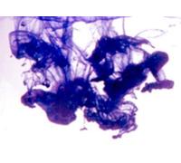 Sapone Colorante Royal Purple 50ml - Altamente Concentrato