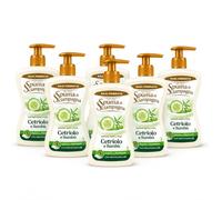 Sapone Liquido Mani e Viso Cetriolo e Bambù, Formula Idratante con Provitamina B5, Deterge, Idrata e Protegge la Pelle, Fragranza Fresca, Dispenser con Pompa - 6 Unita da 430ml