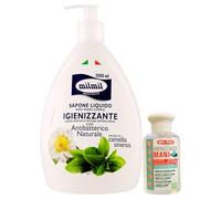 Sapone Liquido Viso, Mani e Corpo, IGIENIZZANTE. Con Dispenser, Con Antibatterico Naturale, Estratto di Camellia Sinensis 1000ml + Gel Mani IGIENIZZANTE, Con Aloe Vera 80ml