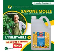 Sapone Molle ad elevata concentrazione per insetti e fumaggine tanica da 5 kg