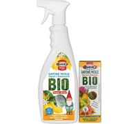 Sapone Molle Potassico Speciale per Limoni ed Agrumi + Ricarica utile per 10 Lit