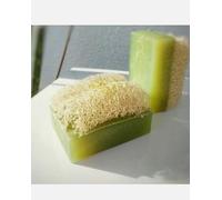 Sapone Naturale con Luffa, Colore Verde Aloe Vera, Set di 2