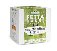 Sapore al Sole Fetta Madre Bio, Biscottate Senatore Cappelli e Avena, Fonte di Proteine, 300g