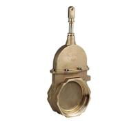 Saracinesca a stantuffo a 1 flangia per carro botte e spandiliquame - Ø5"