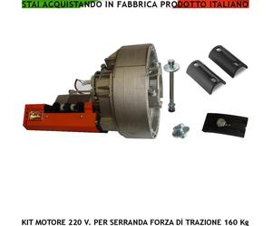 SARACINESCA AUTOMATICA 160 KG MOTORE ELETTRICO 220 V UNIVERSALE APRE STOP CHIUDE