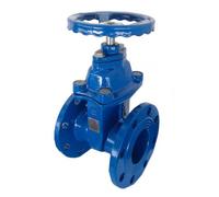 Saracinesca corpo piatto BF Control PN16 125 mm 5 pollici ghisa BS160125