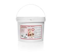 SARACINO We love pastry Pasta Di Zucchero Model Bianca Per Modellaggio Da 5 Kg Senza Glutine Made In Italy