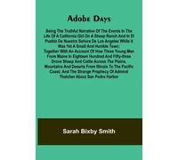 Sarah Bixby Smi The Boys Book of Model Aeroplanes How to Build and F (Tascabile)
