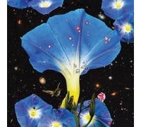 Sarah Louise Nighttime Birds and Morning Stars (Vinyl LP) 12" Album