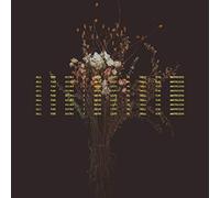 Sarah Macdougall - All the Hours i Have Left to Tell You Anything