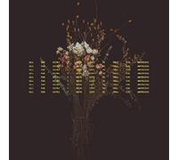 Sarah MacDougall - All The Hours I Have Left To Tell You Anything