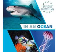 Sarah Ridley Explore Ecosystems: In an Ocean (Copertina rigida)