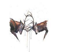 Sarah Stokes Stampa su Tela Headstrong, in Cotone, Multicolore, 3,20 x 40,00 x 50,00 cm