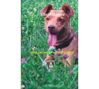 Sarai sempre il mio angelo