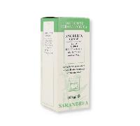Sarandrea Marco ANGELICA CINESE 100ML TINTURA MADRE
