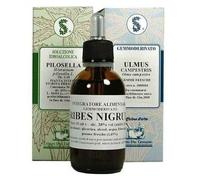 Sarandrea Marco &c. Boswellia 100ml Tintura Madre