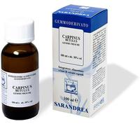 Sarandrea Marco &c. Carpinus Betulus 100 Ml Macerato Glicerico
