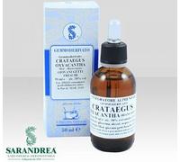 Crataegus Oxyacantha Sarandrea 60ml